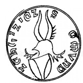 Pečetní znamení vladyky Zikmunda z Kněžiček z roku 1418.