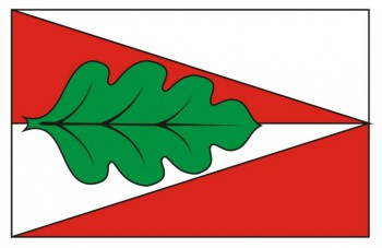 Návrh vlajky pro obec Pánské Dubénky
