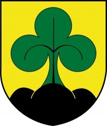 Vlajka obce Dvořiště